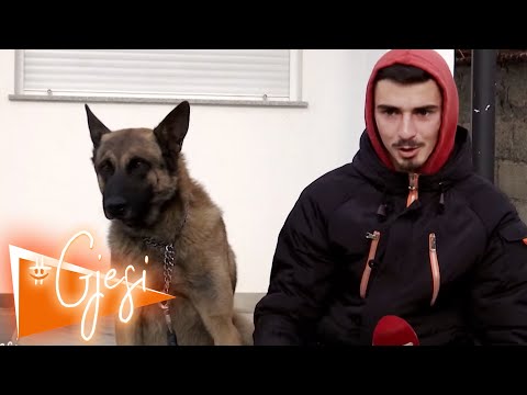 Video: Kush është më i madhi në naruto?