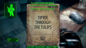 U.S. Covert Operations Manual - USAF Satellite Station Olivia - Fallout 4