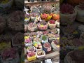 Mini Flowerpot Shop in Hopyeong Gyeonggi-do#Shorts