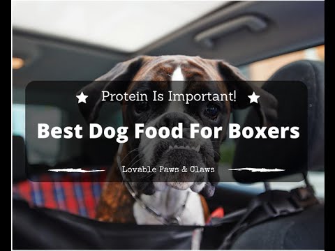 best-dog-food-for-boxers-review-2016