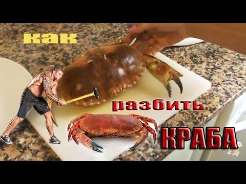 Краб разбор