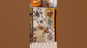 ASMR | All about flowers #relaxingmusic #music #relaxing #asmr #journaling #scrapbooking #journal