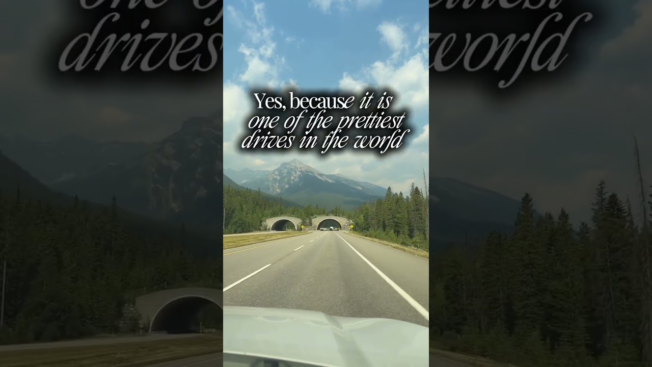 Driving the Trans-Canada Highway into Banff (Wildlife Overpass!)