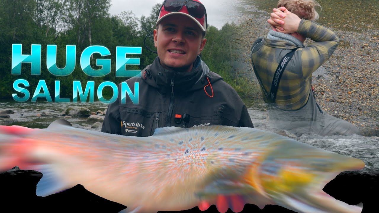 JAKTEN PÅ SESONGENS SISTE STORLAKS I LITEN ELV - BREIVIKELVA