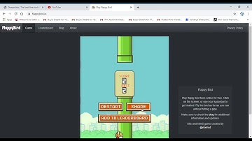 Play Flappy Bird   Google Chrome