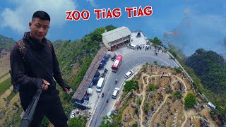 Mus Ncig Chaws Zoo Nkauj Ma Pi Leng Zoo Li Cas Tiag | Xeeb Thoj Tv