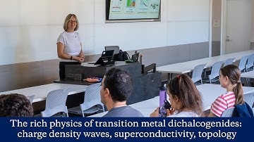 The rich physics of transition metal dichalcogenides