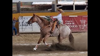 CANDELA en los Campeonatos Charros Estatales Jalisco 2023