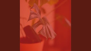 Subtle New Age Soundscapes - Vibe for Yoga Flow