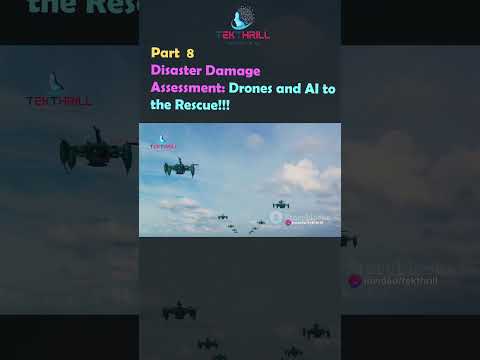 Disaster Damage Assessment: