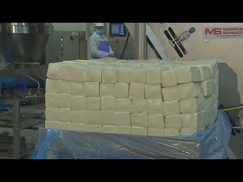 Buffalo Behind the Scenes: Lactalis plant