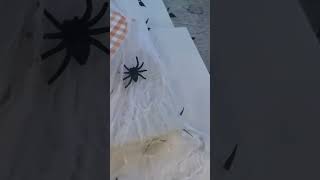 Creepin’ it real this Halloween 👻🕸️ ➡️ Sneak peak of Aiden’s Halloween costume