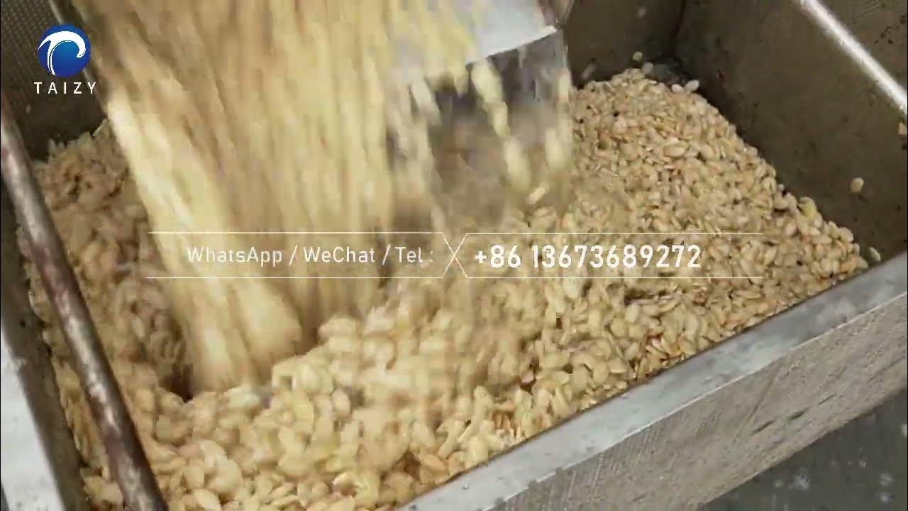 Pumpkin seed sheller pumpkin seed huller sunflower seed shelling