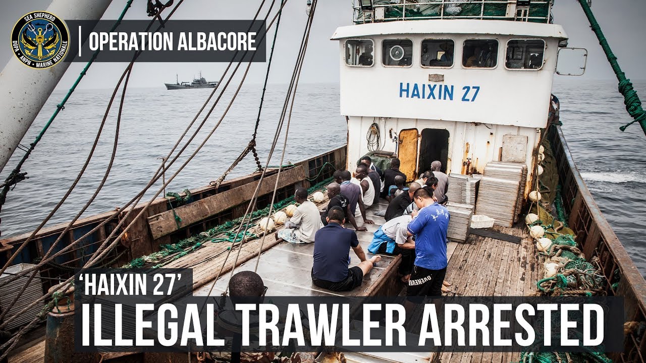 Download Busted! Illegal Fishing Trawler Arrested in Gabon's Marine Protected Area