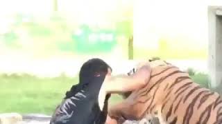 Celebrity Man Vs Tiger Real Fight (Brave Man) Profile