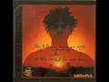 if i was your mic remix - substantial