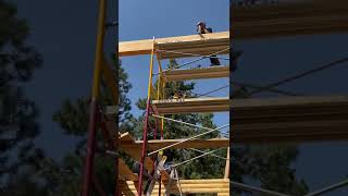 log Cabin Build - week two