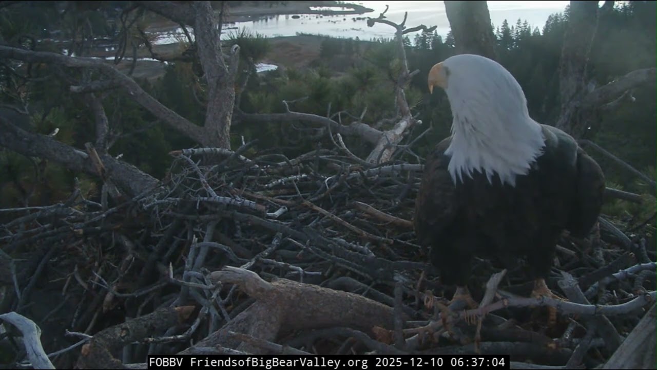 Jackie, Shadow spent the night at RT, then more work to do at home | 12.10.25