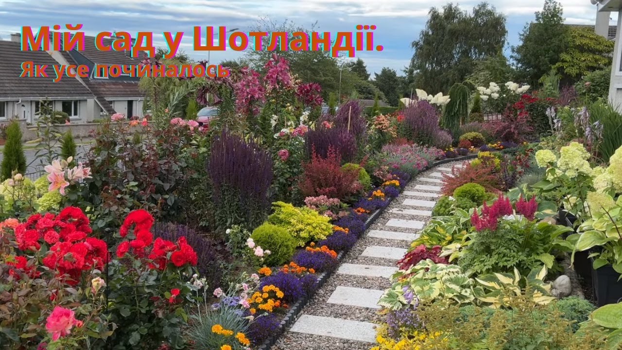 Мій сад у Шотландії: між дощем і мрією