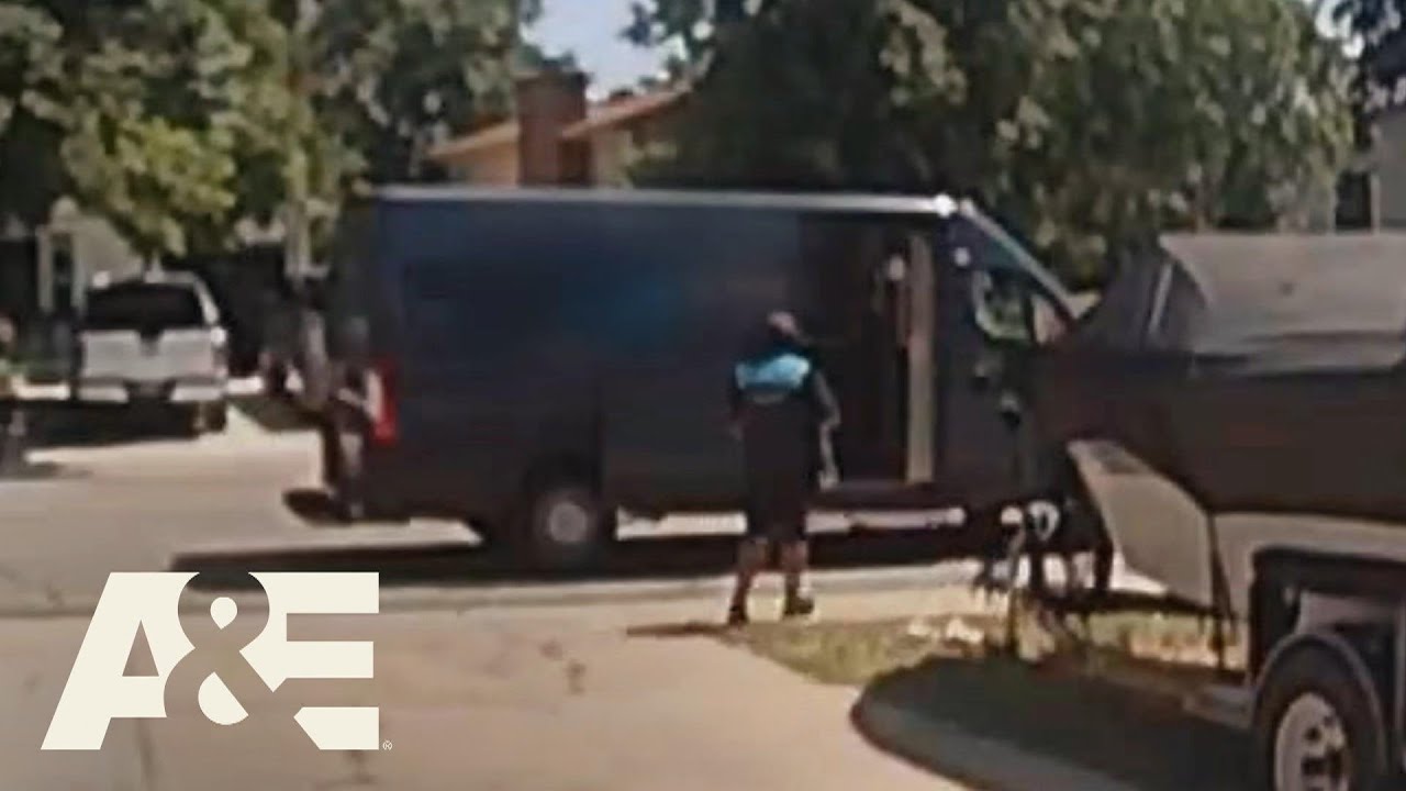 Woman Claims Delivery Driver Stole Her Cat During a Delivery Customer