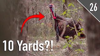 GOBBLERS EVERYWHERE!! - Kentucky Opener! screenshot 1