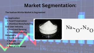 Sodium Nitrite Market To 2031 - Comprehensive Insights Into Market Dynamics And Growth Trends