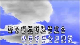 爱你在心口难开 ai ni zai xin kou nan kai