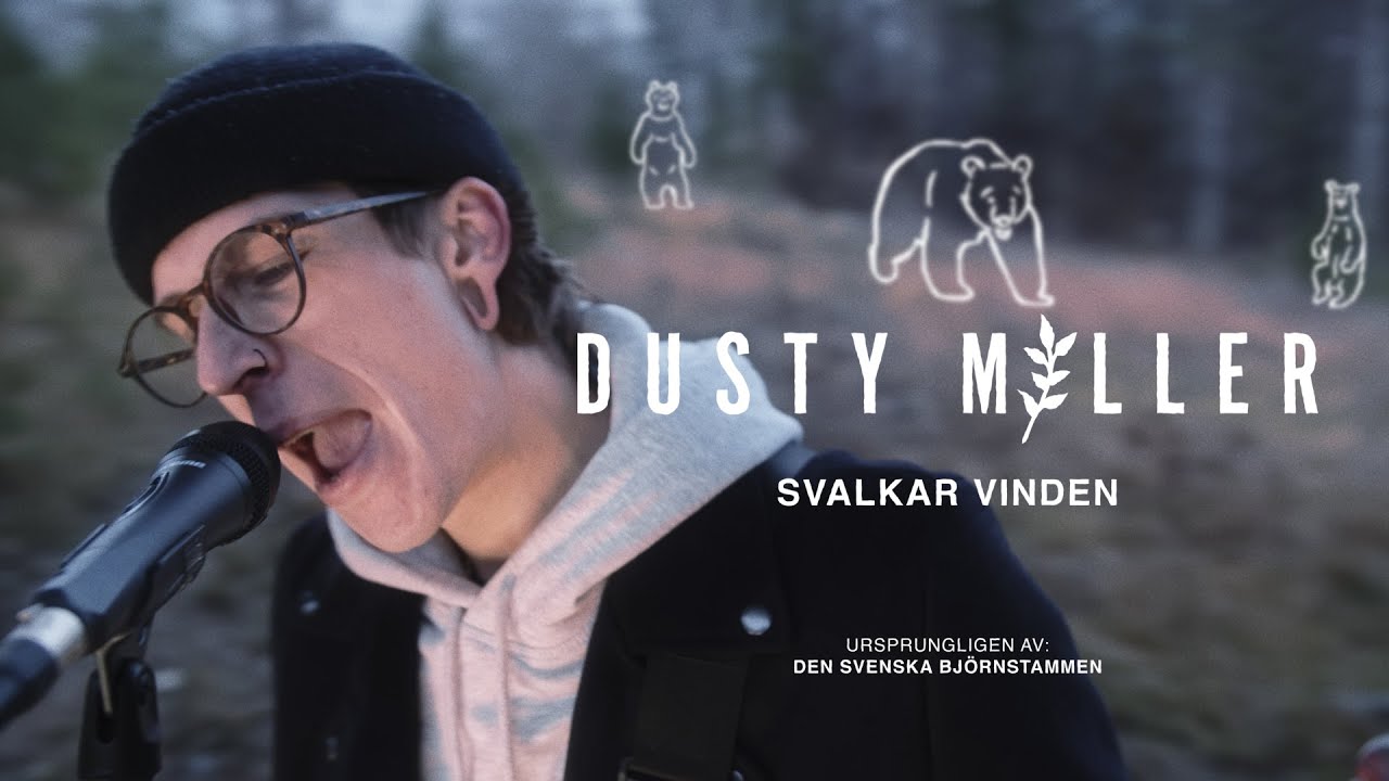 Den Svenska Björnstammen Svalkar Vinden