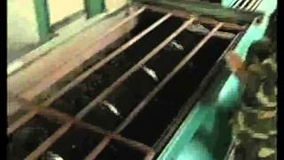 auto brickmachine red brick machine production line.mp4