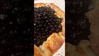 Made a blueberry galette w sourdough crust and apricot cardamom - served w eggnog ice cream #yum