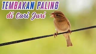 Joss Boss, Tembakan Ciblek Sawah Gacor screenshot 3