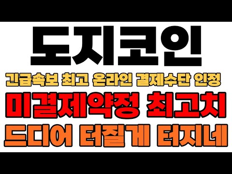 [도지코인] 긴급속보 최고 온라인 결제수단 인정 미결제 약정 최고치 드디어 터질게 터지네요