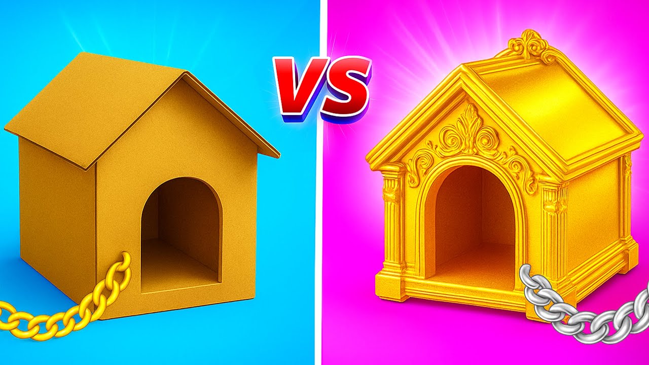 Секретные обновления домика для питомцев! 🐾 🏡 Новый DIY-дизайн комнаты, хаки и гаджеты