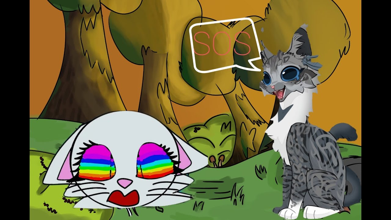 Реакция на радужно глазку || сью или нет ?||Перо ласточки || #сью#реакция#котывоители#кв#квбатл#