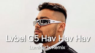 Lvbel C5 - Onlar Arkadan Havlarlar (Luminar1X Set Remix) Hav Hav Hav
