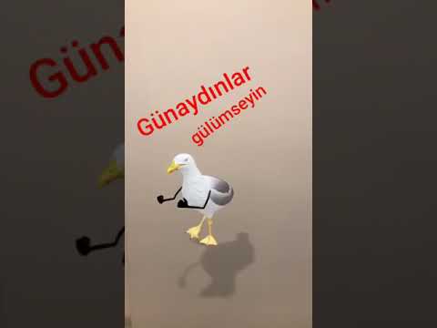 Günaydın millet...