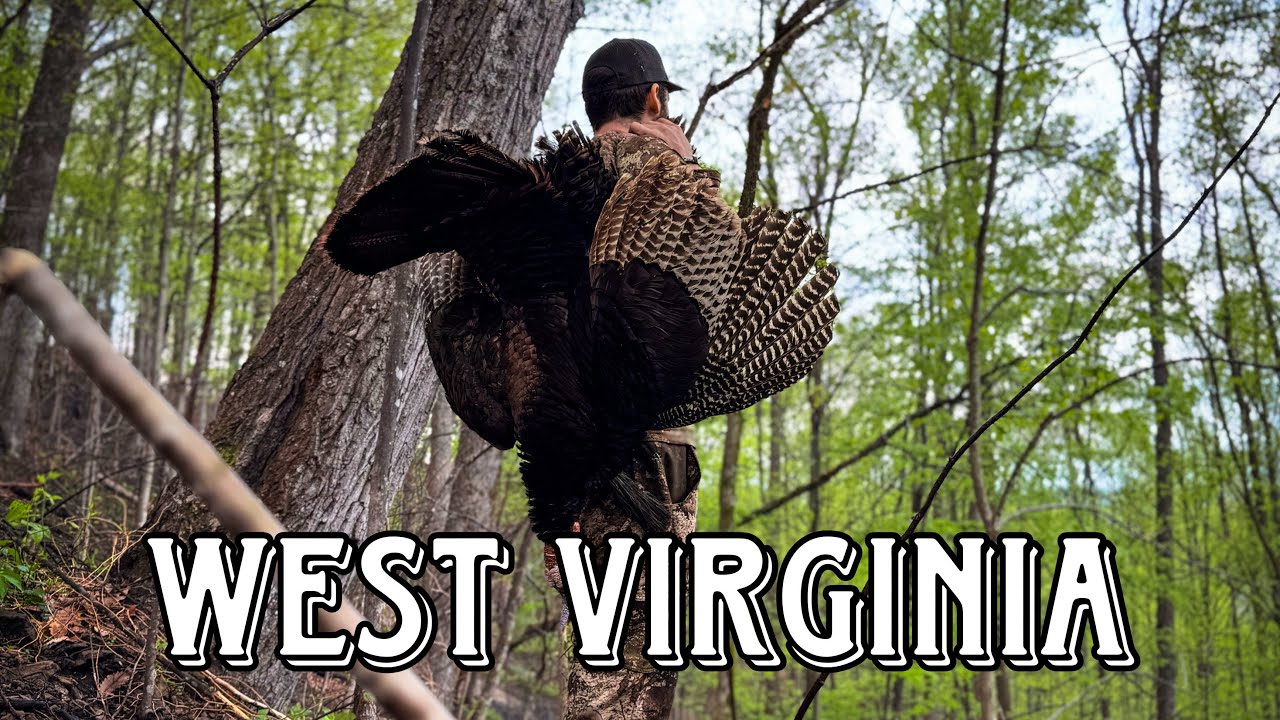 West Virginia Turkey Hunt (Brothers First Turkey)