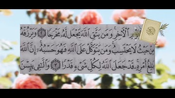 (... ومن يتق الله يجعل له مخرجا ويرزقه من حيث لا يحتسب)(سورة الطلاق - الآية 3)