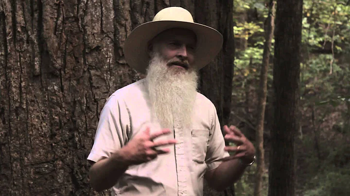 Max Carter on the importance of silence in Quaker faith