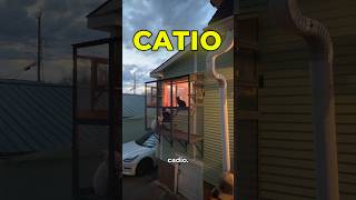 I can’t believe this is my cats first ever CATIO! I can’t wait to build the others 😍 #catios #cats