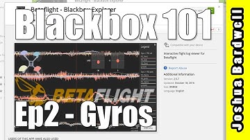 BLACKBOX 101 | Ep2 - Interpreting Gyros