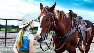 Champion le cheval qui parle | Film Complet en Français | Famille, Enfant