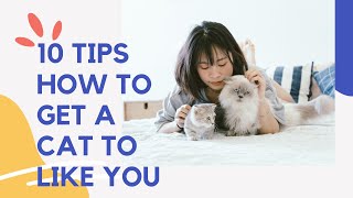 10 Tips How To Get a Cat Like You For Beginner Cat Owners by Pets Lovers 18 views 2 years ago 3 minutes, 3 seconds