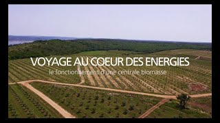 Comment une centrale biomasse transforme résidus végétaux et déchets en électricité - EDF