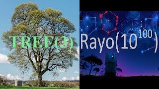Tree3 Vs Rayos Number