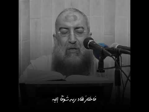 رسول الله ﷺ الشيخ ياسر برهامي Shorts