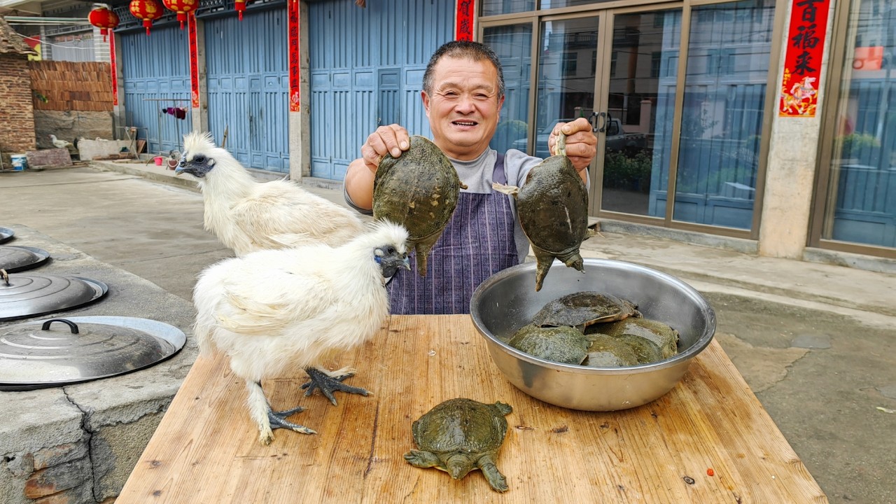9只甲魚2只烏雞，丟入鐵鍋燉1小時，這霸王別雞真香啊