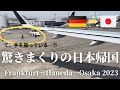 【驚きの連続！日本一時帰国】2年ぶりの日本｜どこを歩いても美味しいものだらけの日本｜どこに行っても清潔で無料の…｜宮島で食べ歩きを楽しむ｜ルフトハンザやっぱり遅延…