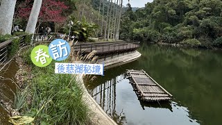 年初七春訪：後慈湖秘境巡禮Back Cihu in Taoyuan 