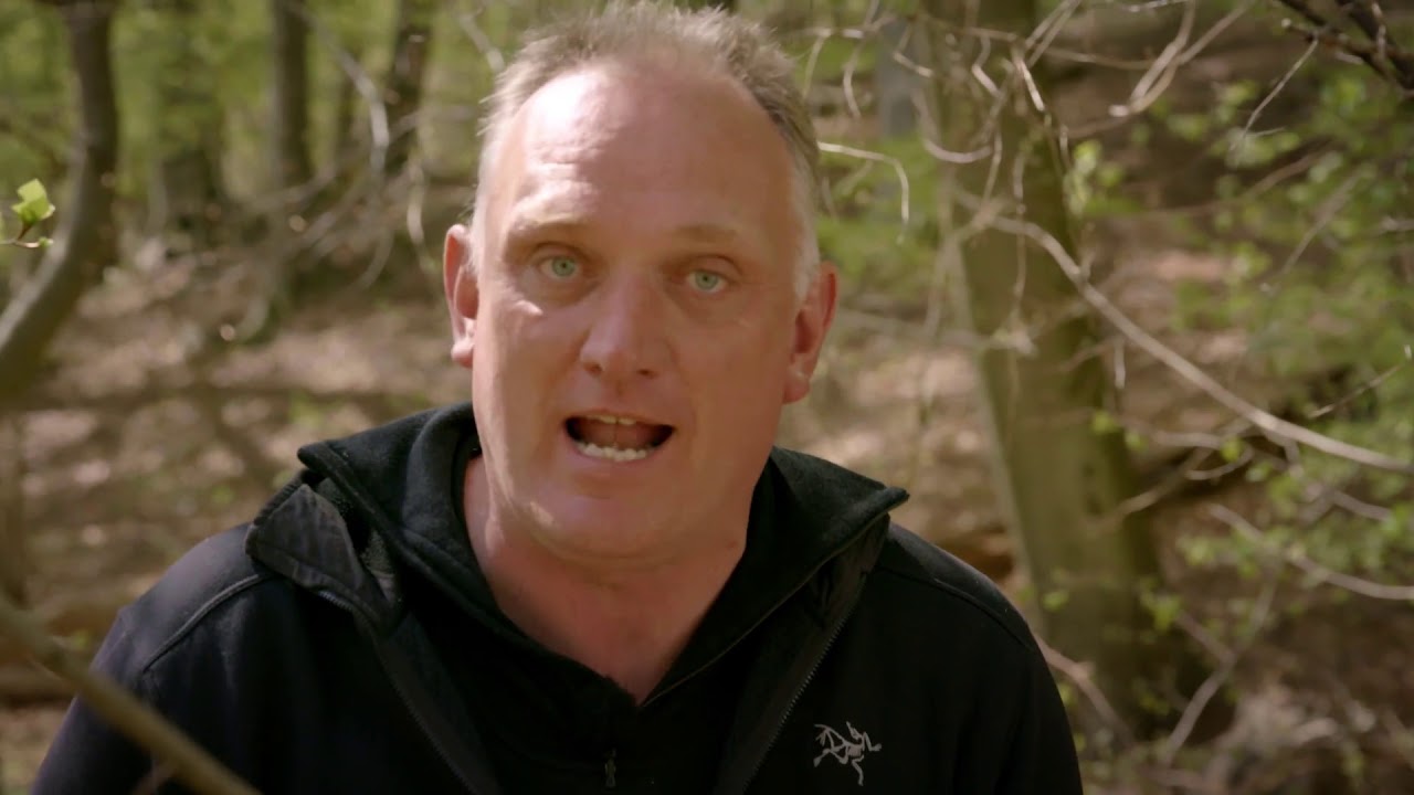 99 arter at se før du bliver voksen: MIRABEL